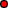 dot red